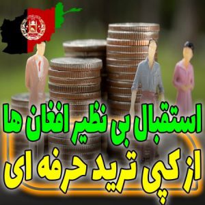 کسب سود دلاری افغان ها از کپی ترید 